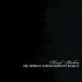 the widness redevelopement project cover