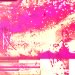 wallpaper 0009